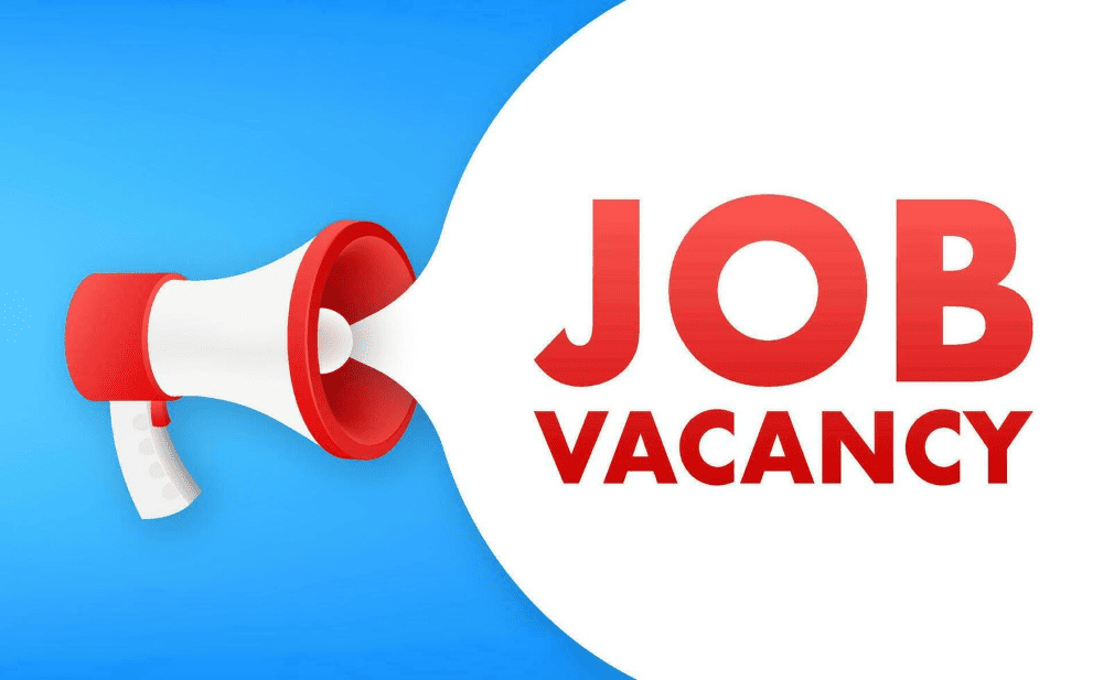 Full time blog content writing job vacancy in Ranchi, Jharkhand - Bariyatu